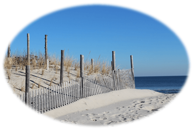 Hurricane Sandy | Beach Haven West Real Estate