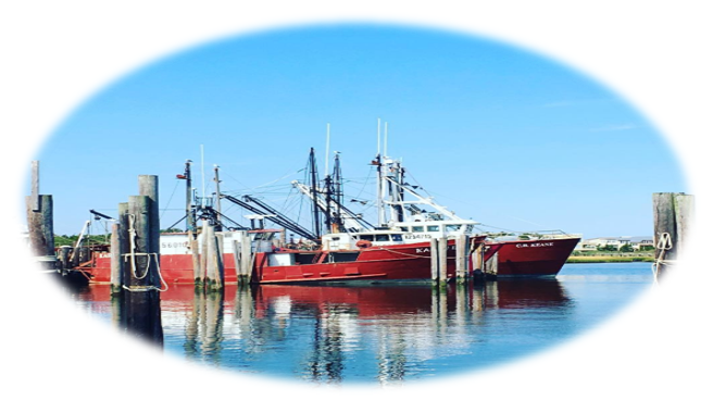 Beach Haven West Ownership Costs | Beach Haven West NJ Real Estate | Beach Haven West Buyers