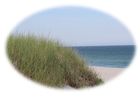 Buying Beach Haven West Real Estate | Buyers | Stafford NJ | Beach Haven West NJ