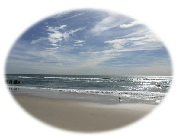 Selling Beach Haven West NJ Real Estate | Beach Haven West | Beach Haven West Real Estate