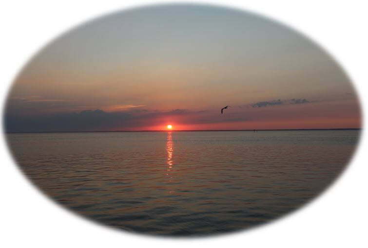 Beach Haven West Ownership Costs | Beach Haven West NJ Real Estate | Beach Haven West Buyers