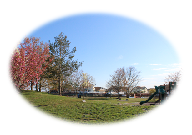 Buying Beach Haven West Real Estate | Buyers | Stafford NJ | Beach Haven West NJ